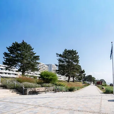 App 388